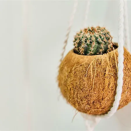 Al Golpito Las Palmas de Gran Canaria