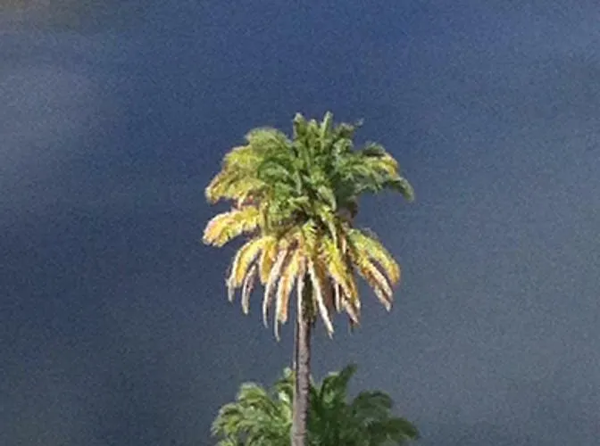 Al Golpito Apartment Las Palmas / Gran Canaria