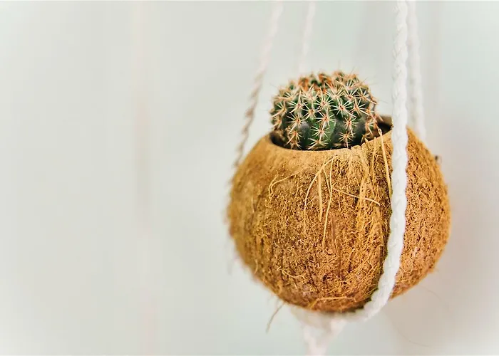 Al Golpito Las Palmas / Gran Canaria